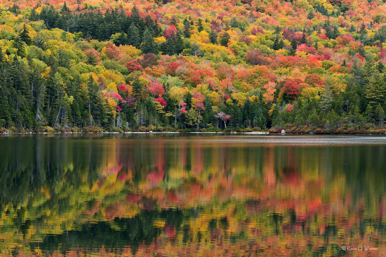 Sawyer Pond Palette