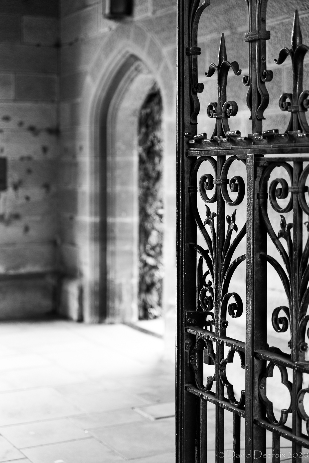 Sydney University