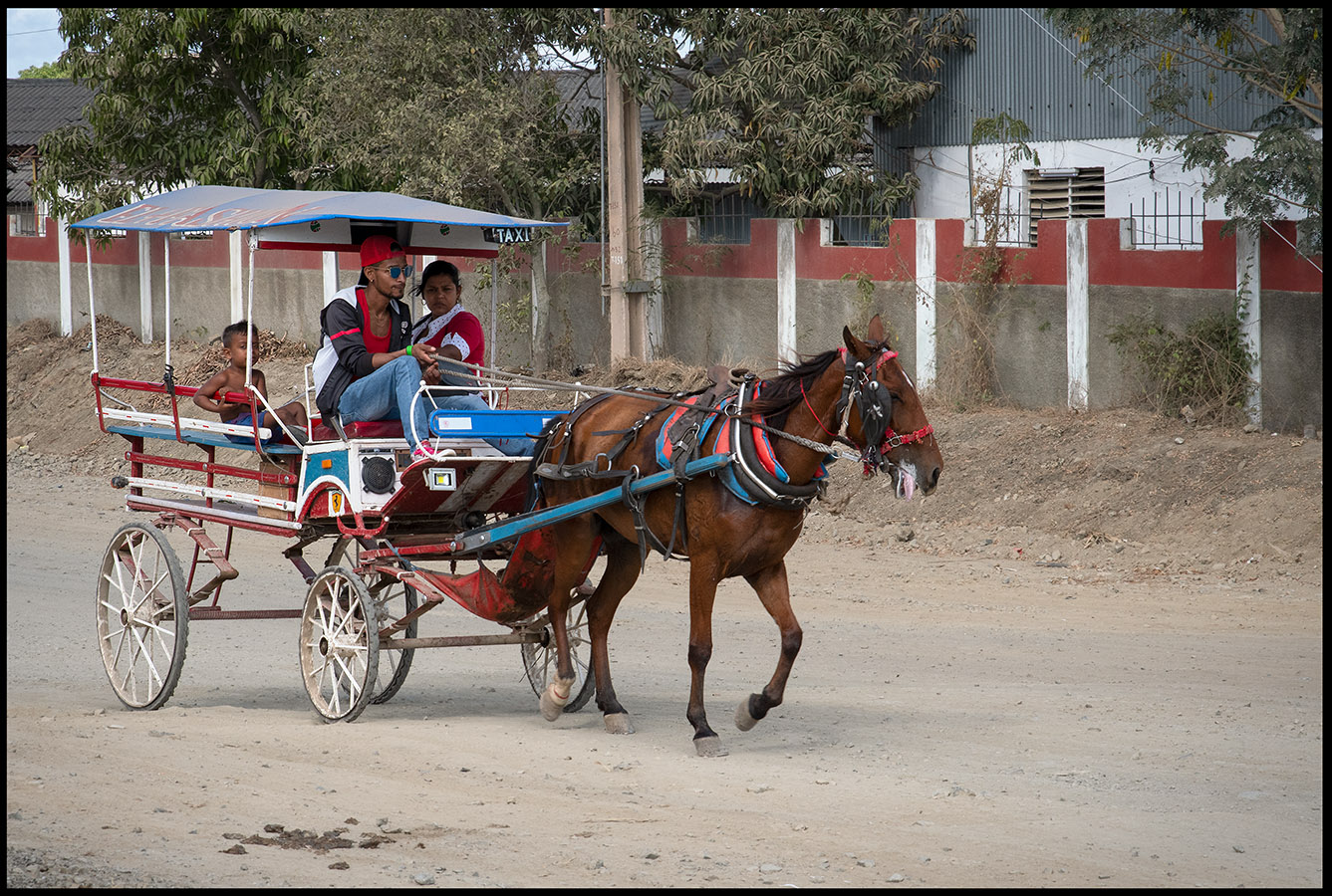 Horse taxi - Las Tunas