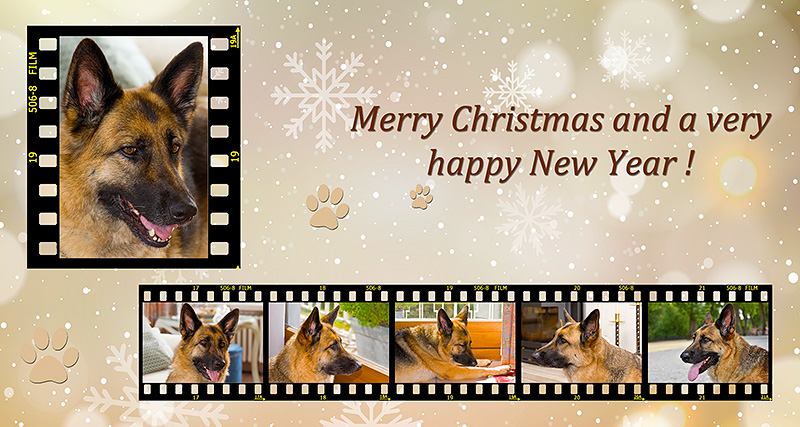 Xmas_2020.jpg
