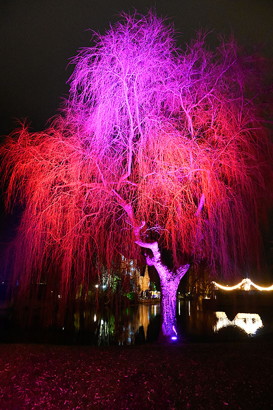 Winter Glow-02.jpg