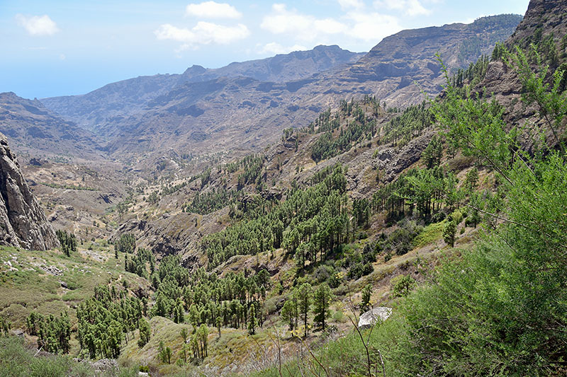Tenerife_67.jpg