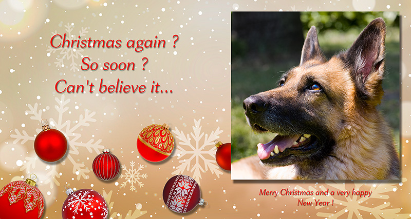 Xmas_2024.jpg