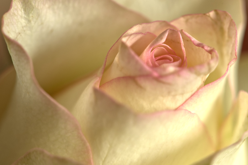 Macro_09