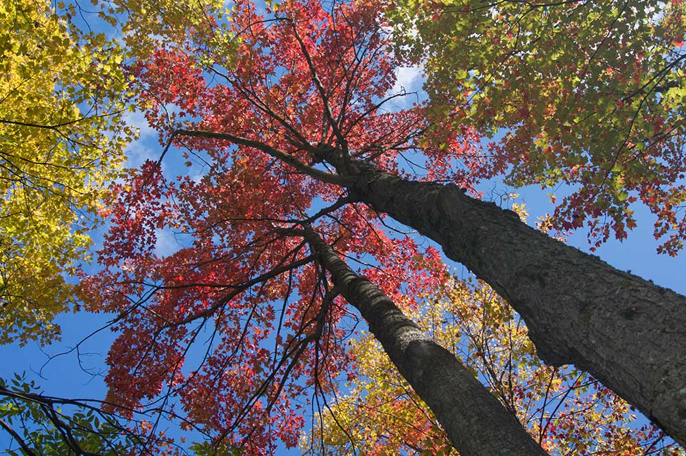 Parc Chutes Wilson, St-Jrme, Qubec