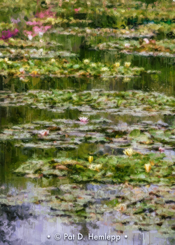 Water garden