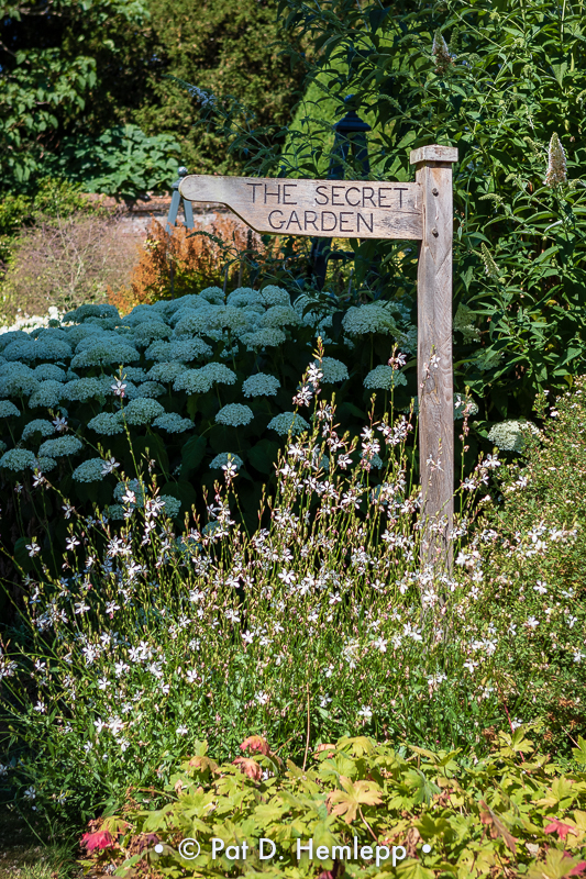 The way to the garden