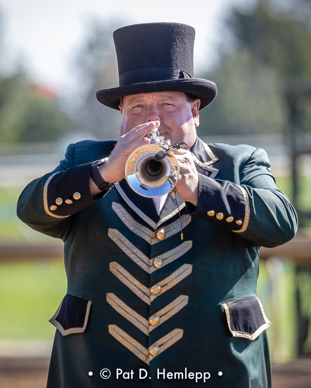 Bugler