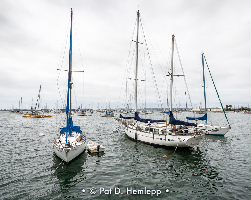 Sailboats
