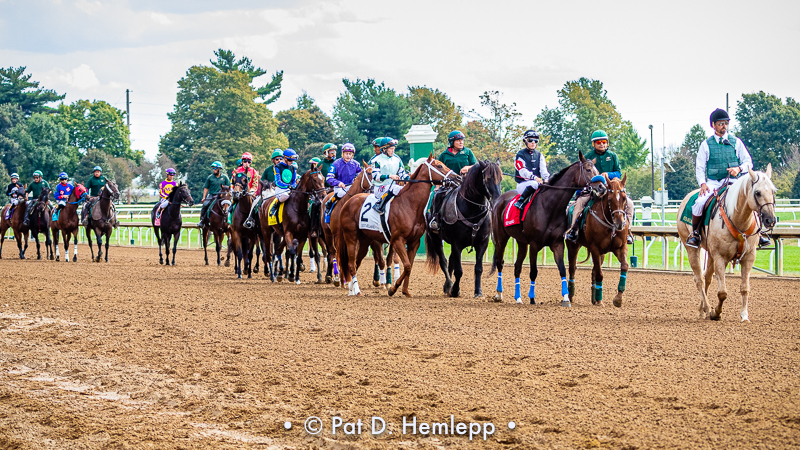 Before the race