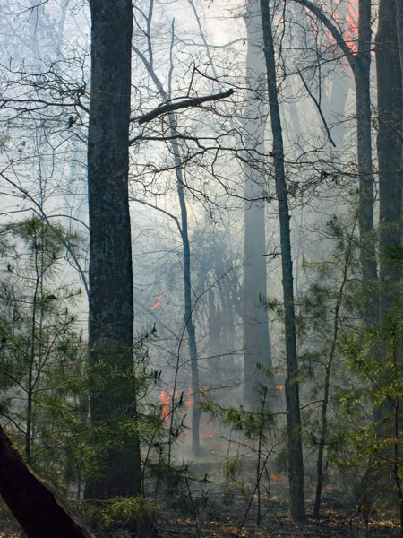 22 Spring fires 1592