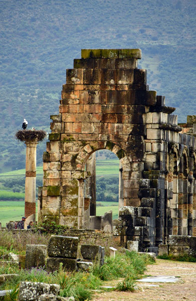 30 Roman ruins of Volubilis - Moroc 2429