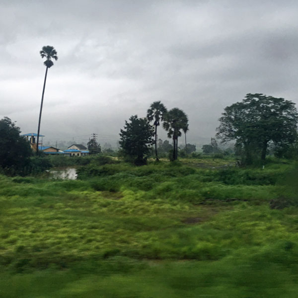 Monsoon - India 1 i4634