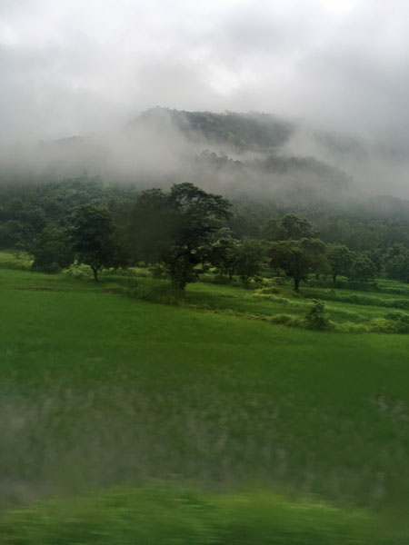 Monsoon - India 1 i4693