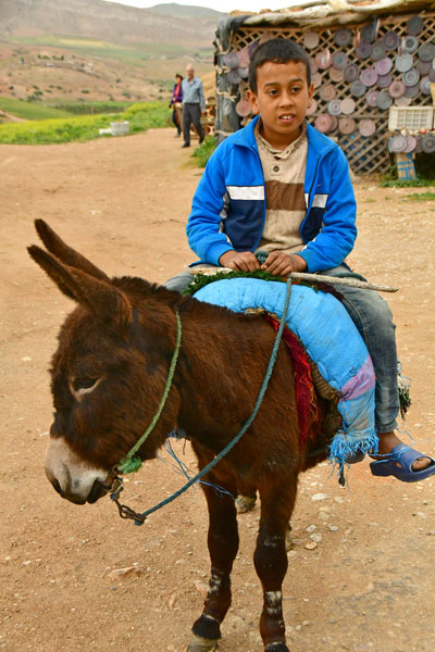 30 Boy and burro 2753