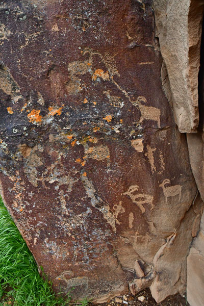 Nine Mile Canyon petroglyphs - Utah19 2 0038