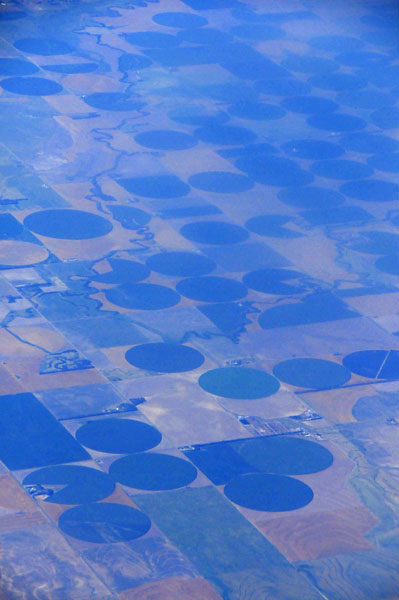Alfalfa under irrigation - Utah15 7324