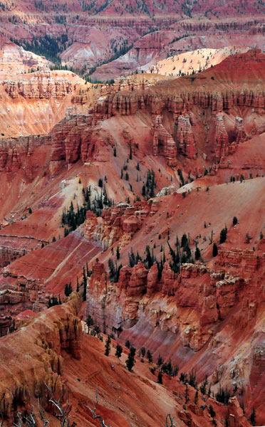 Cedar Breaks view - Utah15 7419
