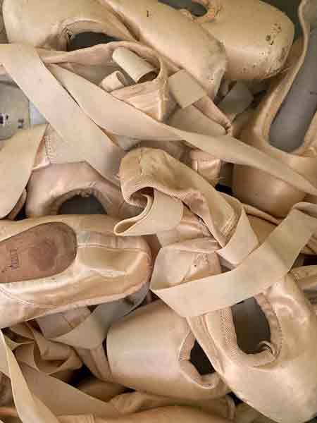 23 Ballet slippers i0806