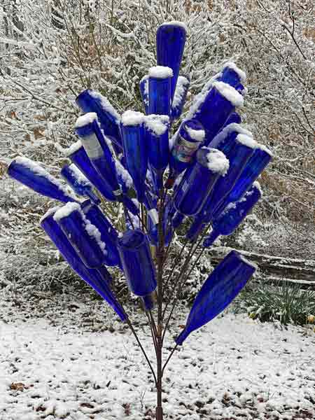 08 Snow on the bottle tree i1057