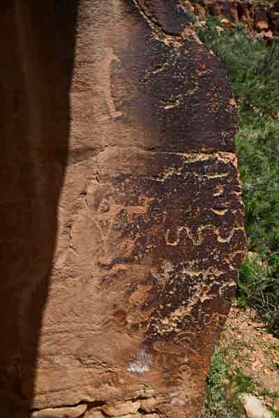 Daddy Canyon petroglyphs - Utah19-2-0159