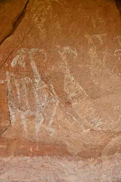 Daddy Canyon petroglyphs - Utah19-2-0163