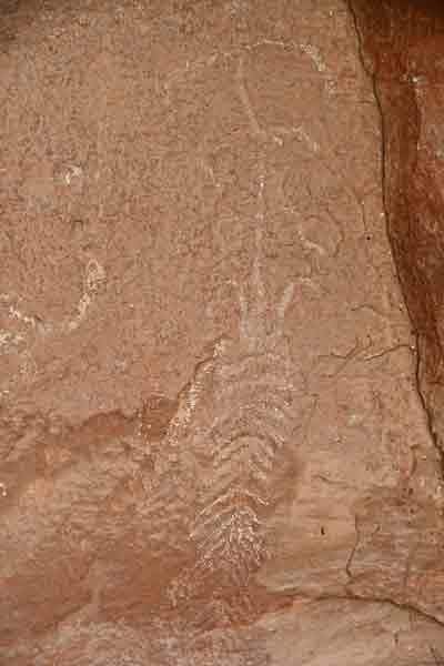 Daddy Canyon petroglyphs - Utah19-2-0165