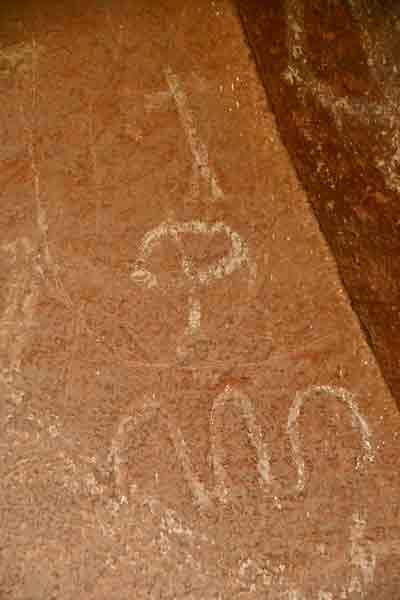 Daddy Canyon petroglyphs - Utah19-2-0166