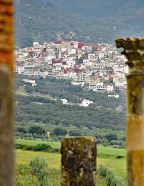 Moroc-2396