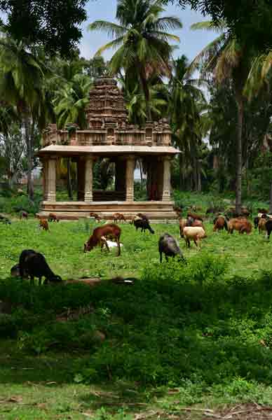 Vittala Temple complex - India-1-9660