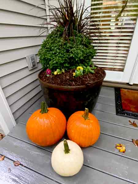 11 Fall stuff i2743