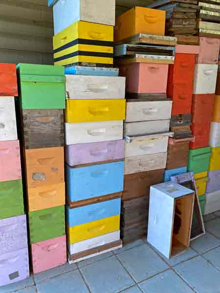 23 Honey bee hives i2785