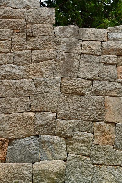 Wall detail - India-1-9801