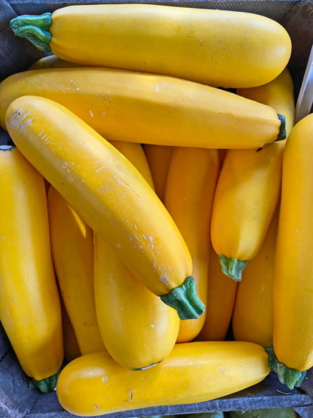 07-06 Yellow zucchini i4969
