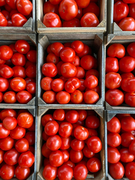 07-06 cherry tomatoes i4962