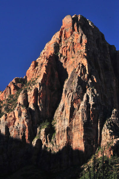 Zion - Utah15 - 8171