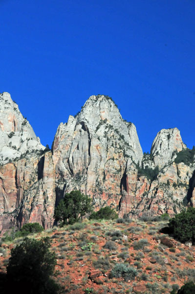 Zion - Utah15 - 8174