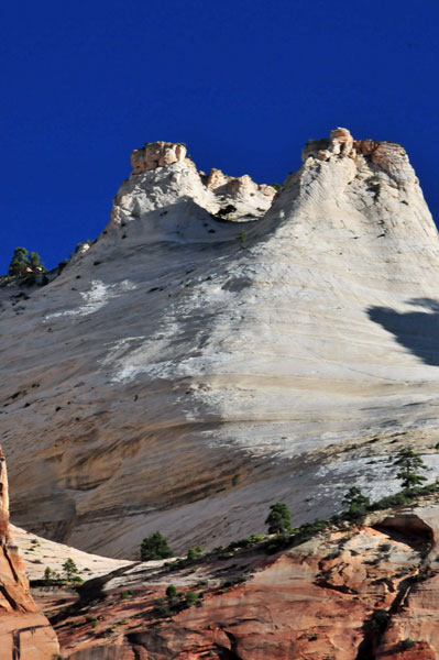Zion - Utah15 - 8178