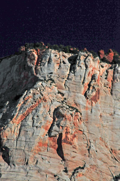Zion - Utah15 - 8180