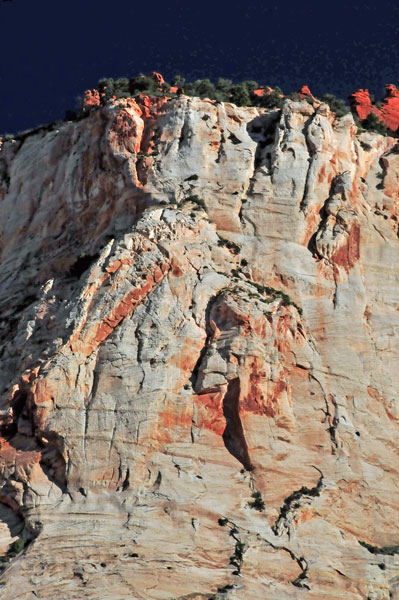Zion - Utah15 - 8181