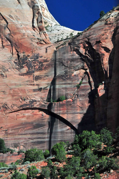 Zion - Utah15 - 8183