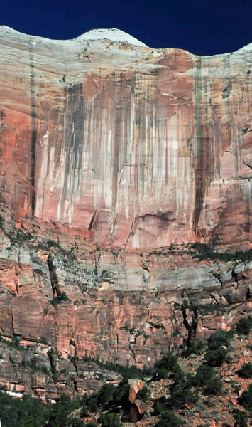 Zion - Utah15 - 8184