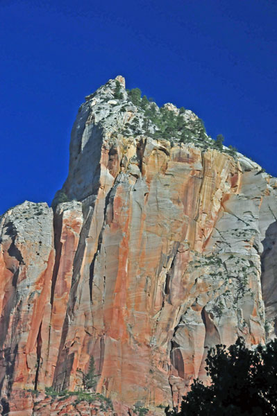 Zion - Utah15 - 8194