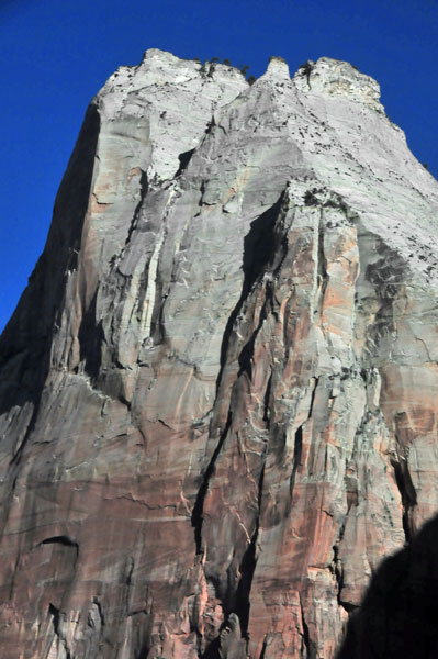 Zion - Utah15 - 8196