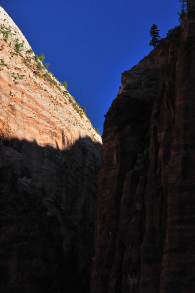 Zion - Utah15 - 8198