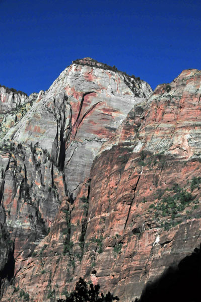 Zion - Utah15 - 8201