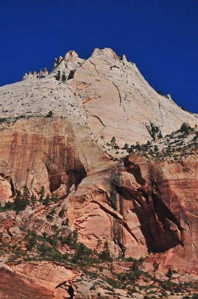Zion - Utah15 - 8202