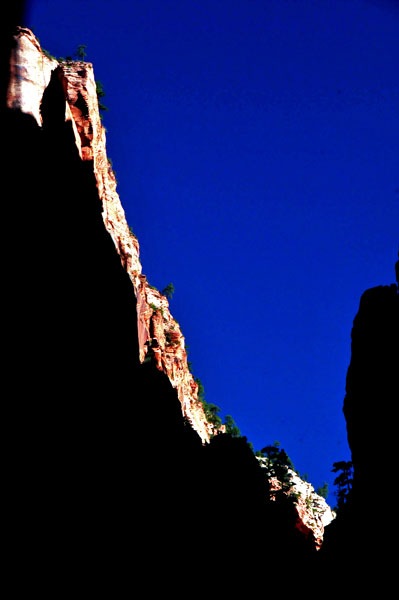 Zion - Utah15 - 8203