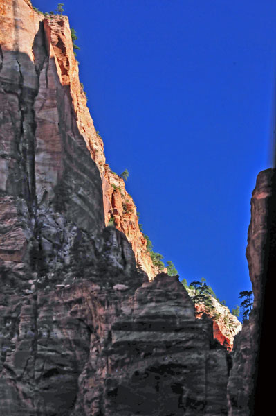 Zion - Utah15 - 8204