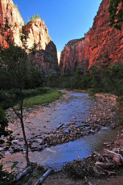 Zion - Utah15 - 8216